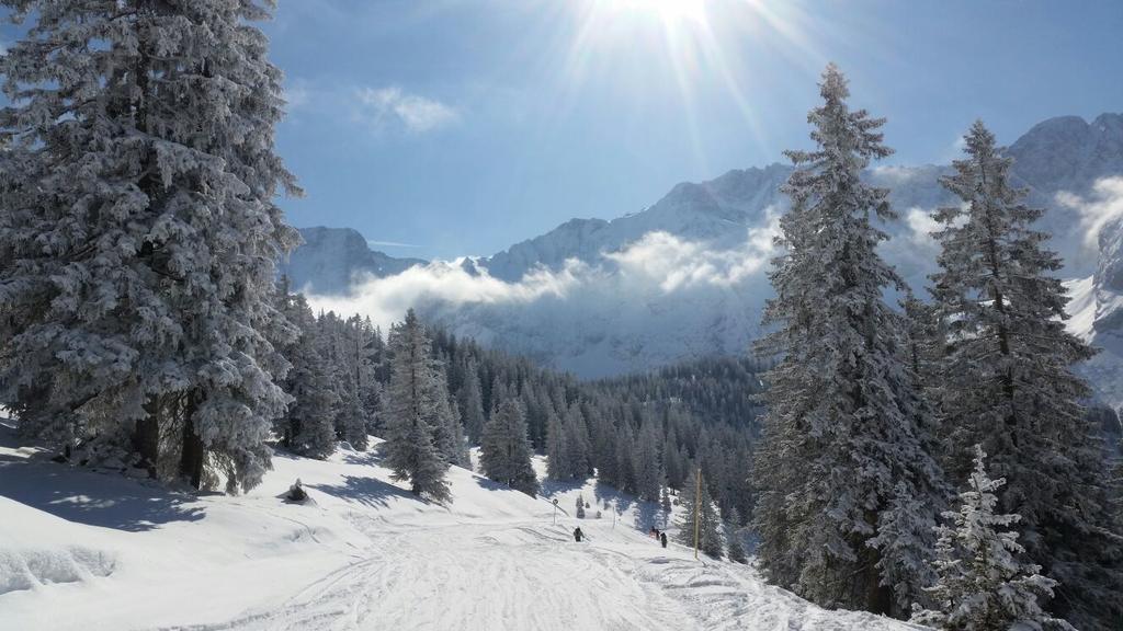 Pension Lischenhof แอห์วัลด์ ภายนอก รูปภาพ